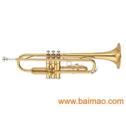專業(yè)樂器供應(yīng) 批發(fā)零售全新原裝正品雅馬哈、卡西歐、美德理、羅蘭電子琴